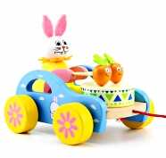 Category Push & Pull Toys